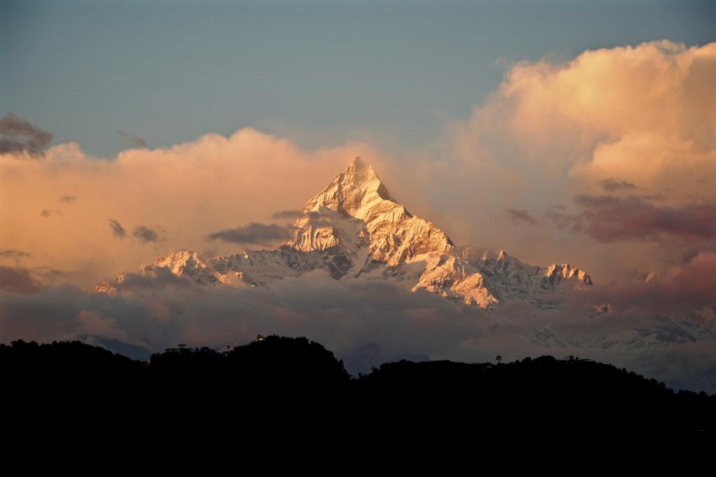 Hotel New Annapurna